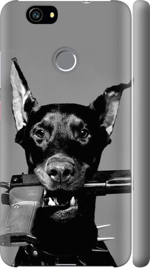 Чехол на Huawei Nova Доберман (2745m-439-42517) Чехол на Huawei Nova Доберман (2745m-439-42517)