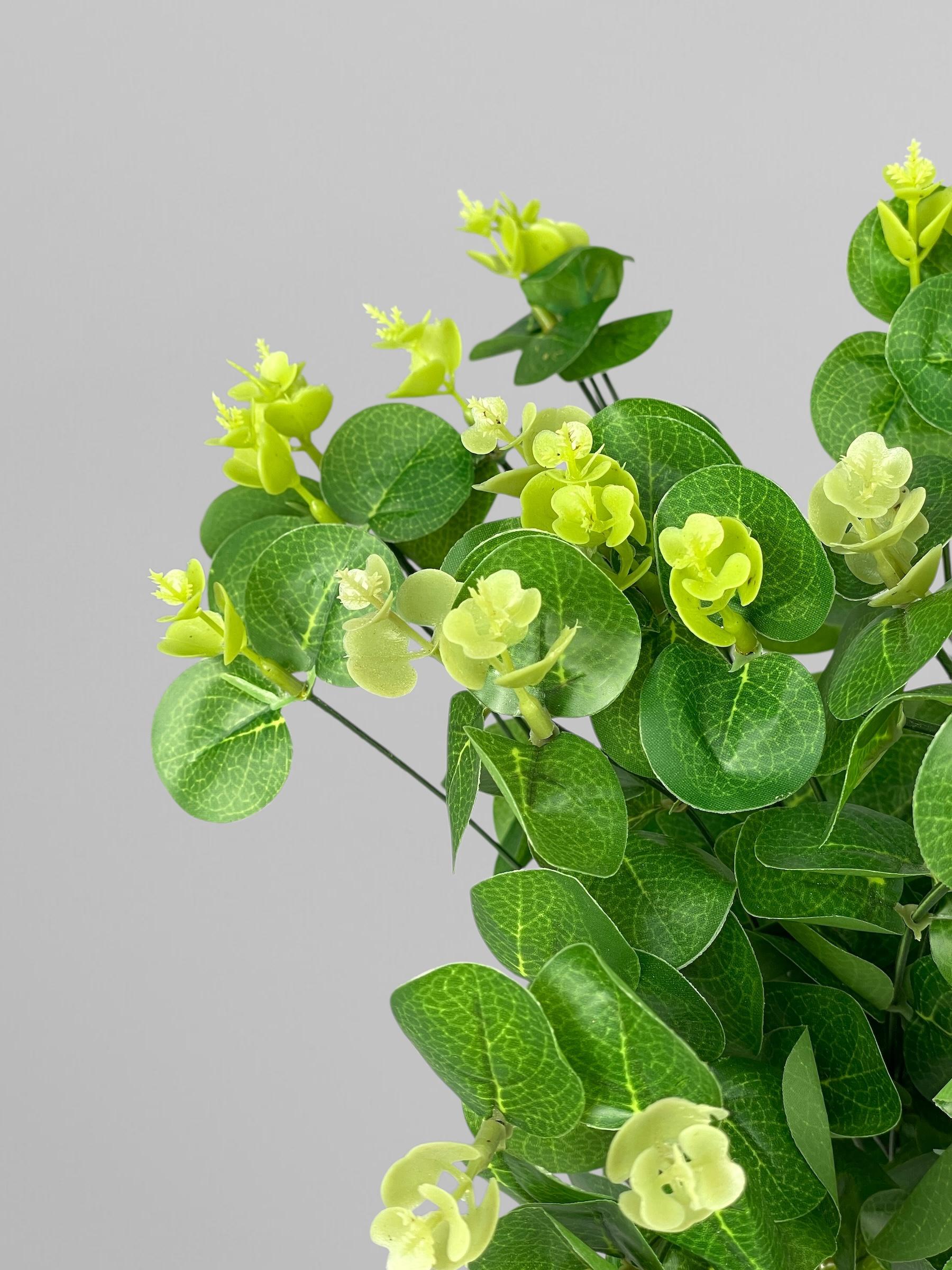 Искусственный эвкалипт на 16 разветвлений 46 см Зеленый (Р05012) - фото 6 Искусственный эвкалипт на 16 разветвлений 46 см Зеленый (Р05012) - фото 6