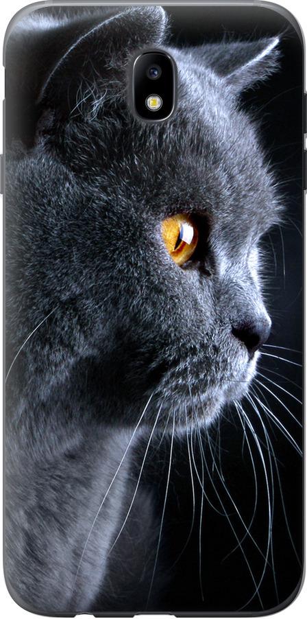 Чехол на Samsung Galaxy J7 J730 (2017) Красивый кот (3038t-786-42517)
