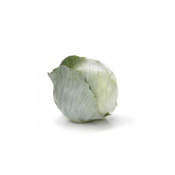 Насіння Капуста білокачанна Аксіома F1 Rijk Zvaan Гекса-Україна 01-06-286 1000 шт. (IR02580)