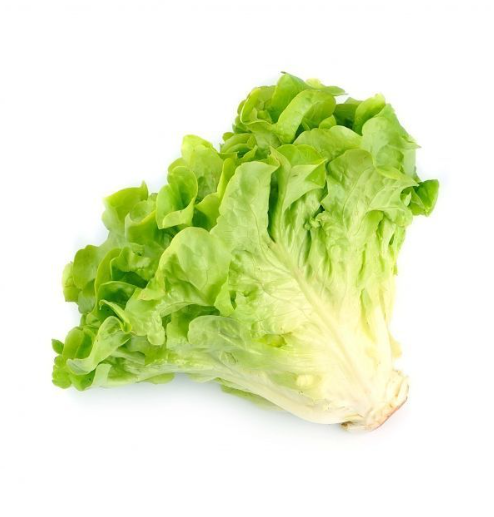 Насіння Салат Тацитус ТД Гекса-Україна 01-26-201 1000 шт. (IR02070)