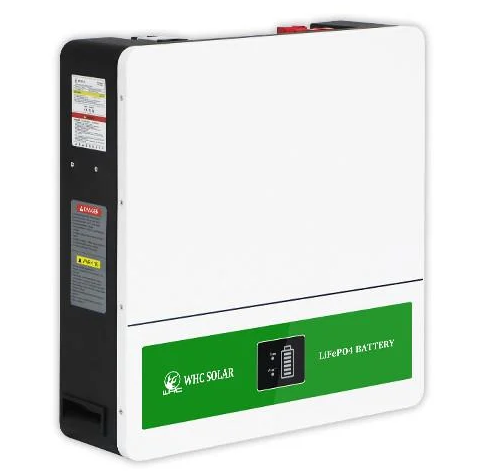 Аккумулятор LiFePO4 WHC-P-51.2V 100 Ah 51.2v (24142922)