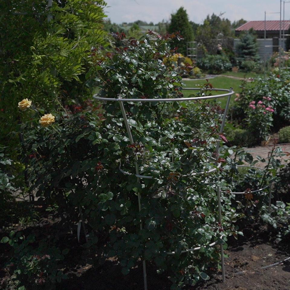 Опора для рослин кільцева на три кільця 1700х800х800 мм (КО-D16/D13-1700*800/600/600) - фото 5 Опора для рослин кільцева на три кільця 1700х800х800 мм (КО-D16/D13-1700*800/600/600) - фото 5