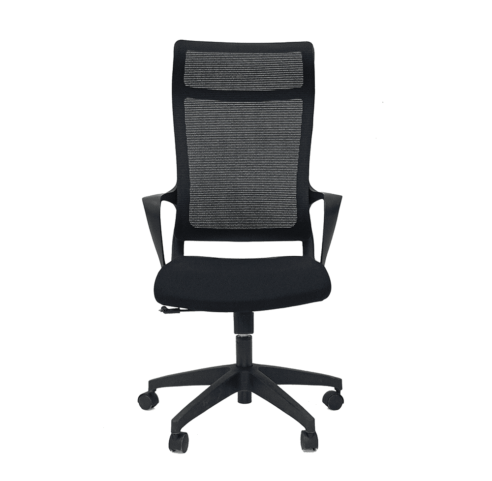 Кресло офисное эргономичное Barsky Office BOF-01 с сетчатой спинкой Black (BOF-01)