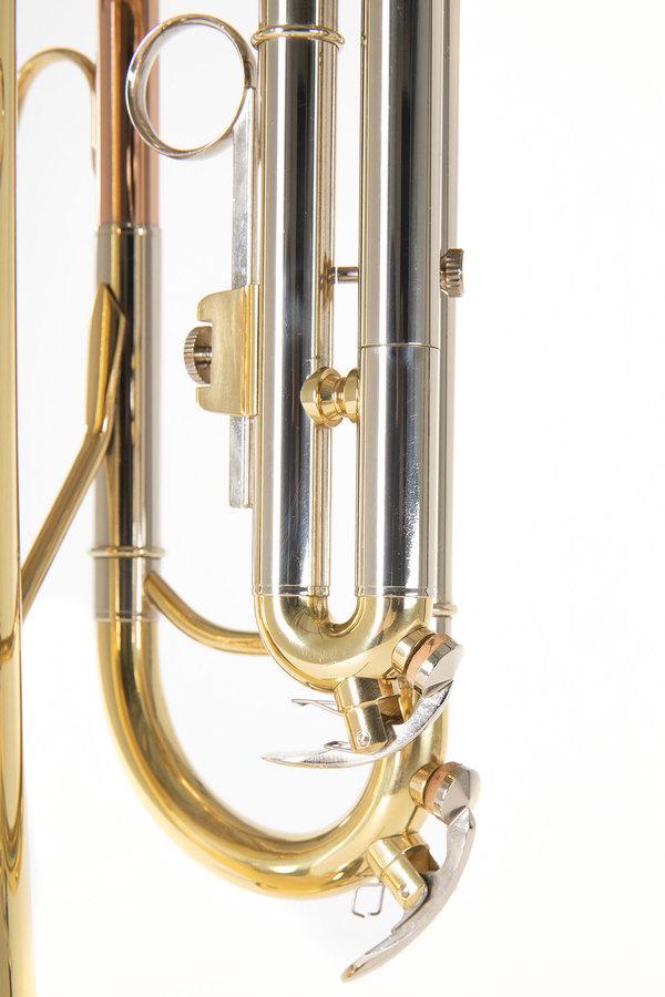 Труба Roy Benson TR-202 - фото 4