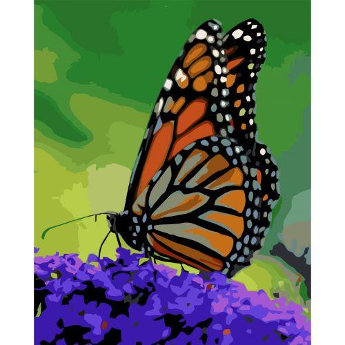 Картина за номерами Помаранчевий метелик 40х50 см (182772)
