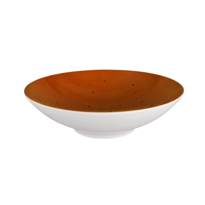 Піала Seltmann Weiden Coup Fine Dining Country Life 20 см Terracotta (33556317)