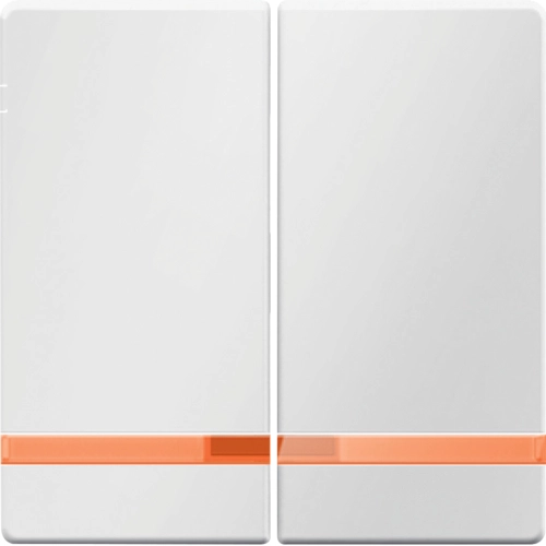 Панель лицевая Berker Q.1/Q.3/Q.7 для двойного выключателя с линзой Полярная белизна (16276089)