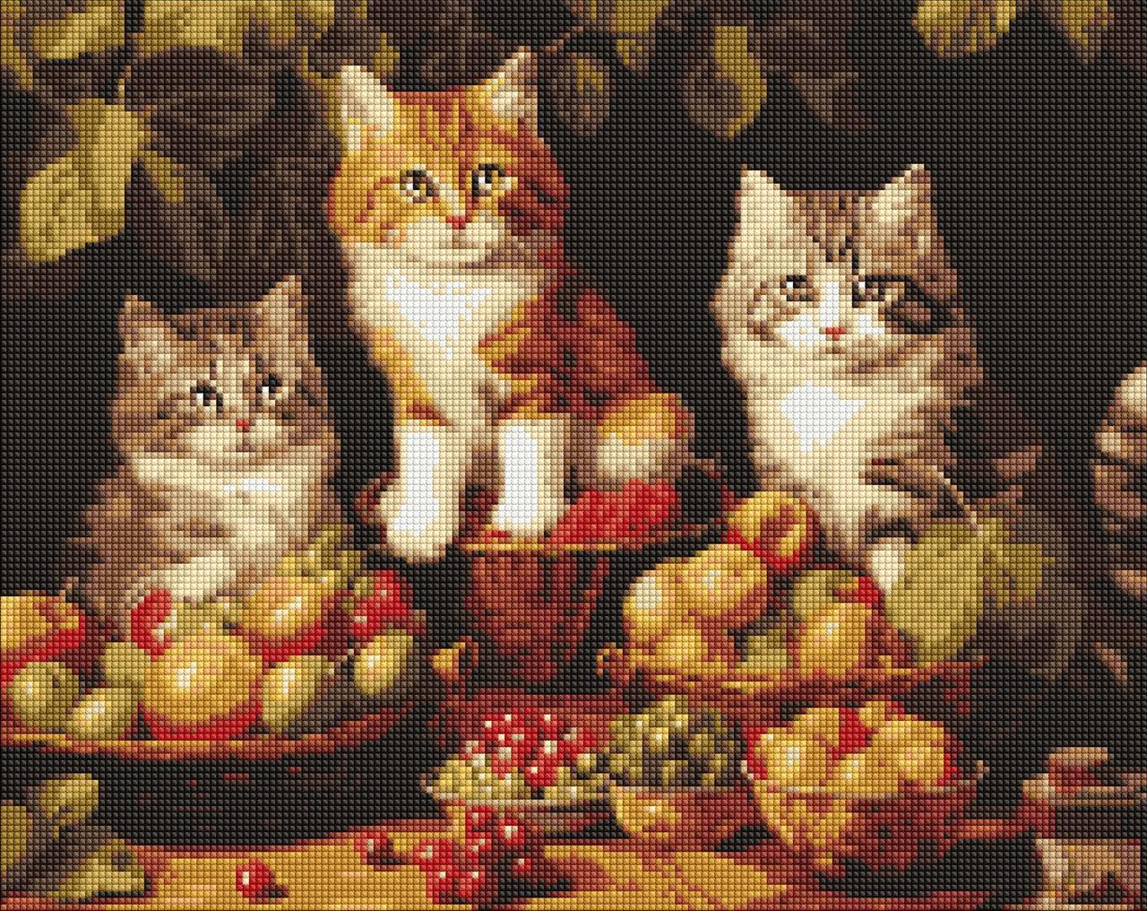Алмазная мозаика/вышивка Ideyka Котики и фрукты 40х50 см (AMO 7940)