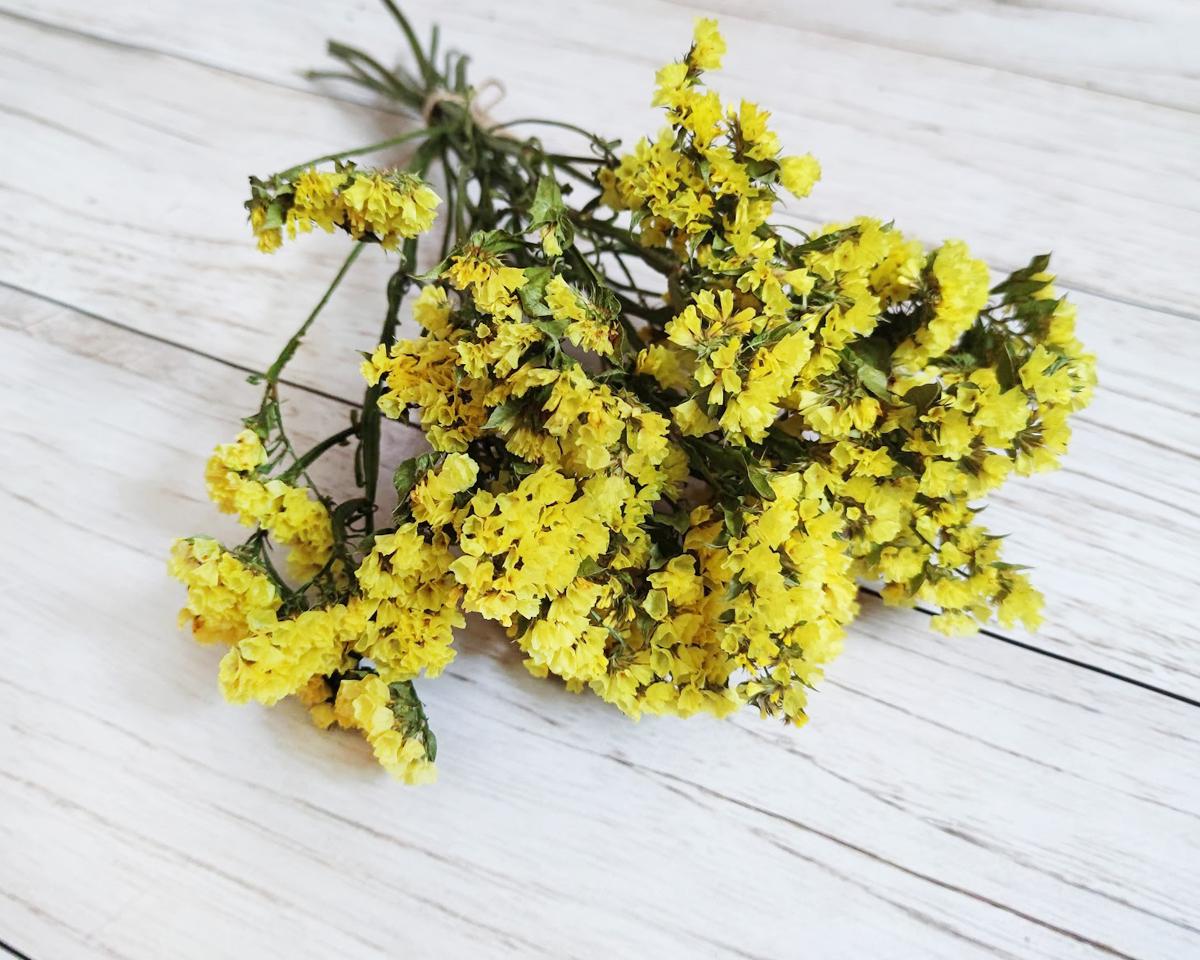 Сухоцвет кермек статица 6-9 веток высота 30-35 см Желтый