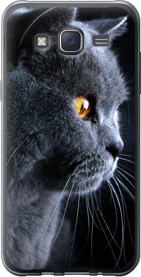 Чехол на Samsung Galaxy J5 (2015) J500H Красивый кот (3038t-100-42517)