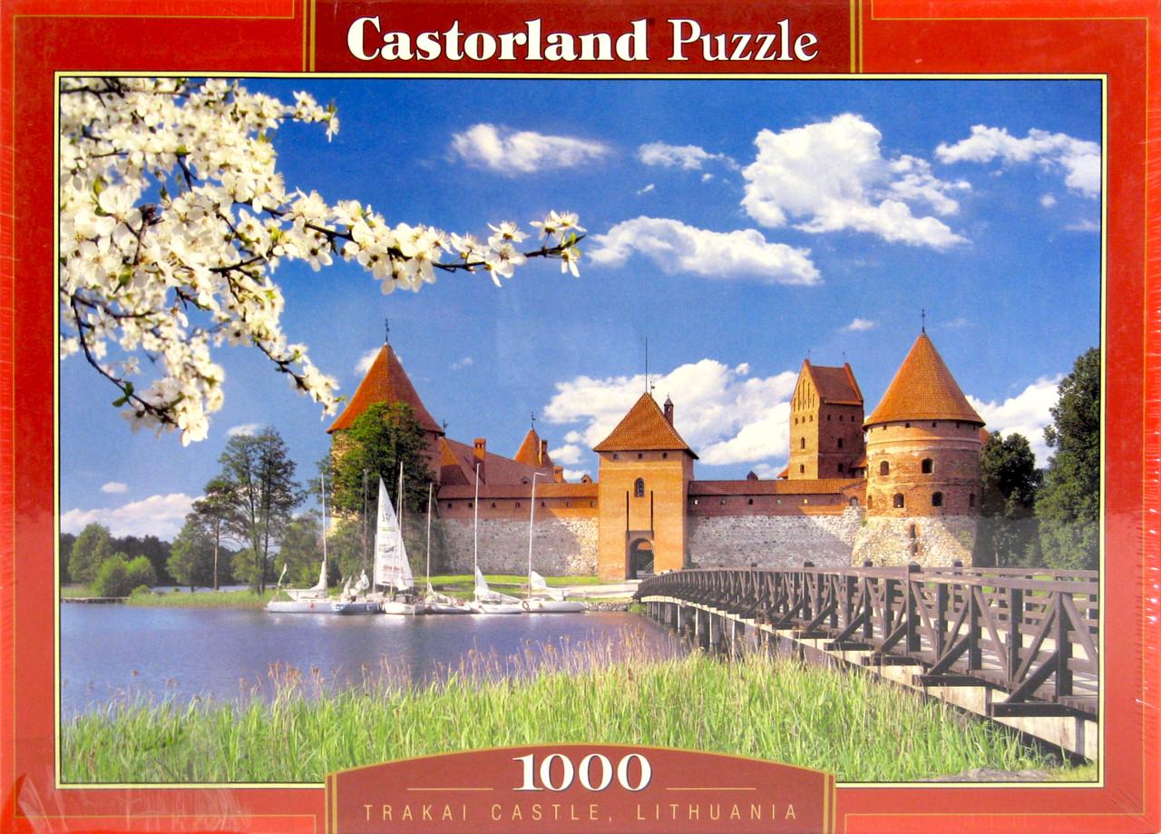 Пазли Castorland 101306 1000 деталей