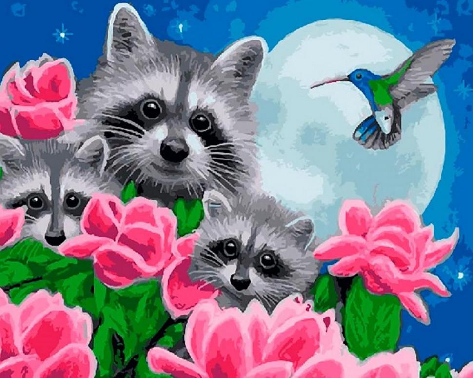 Картина по номерам Rainbow Art Любопытные еноты (GX25164-RA)