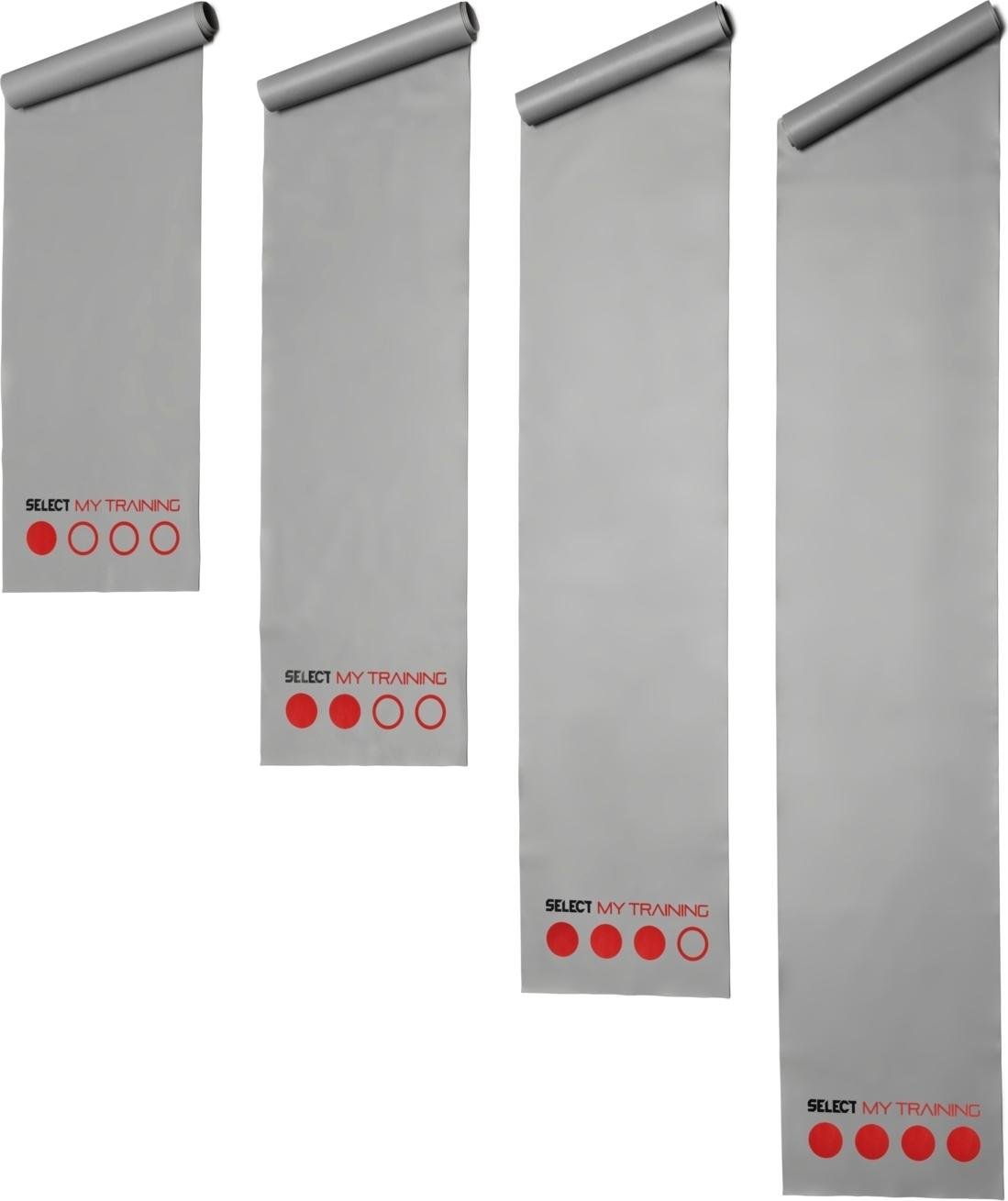 Набор тренировочных лент Select RECOVERYBAND 1-4 Серый (745740-990)