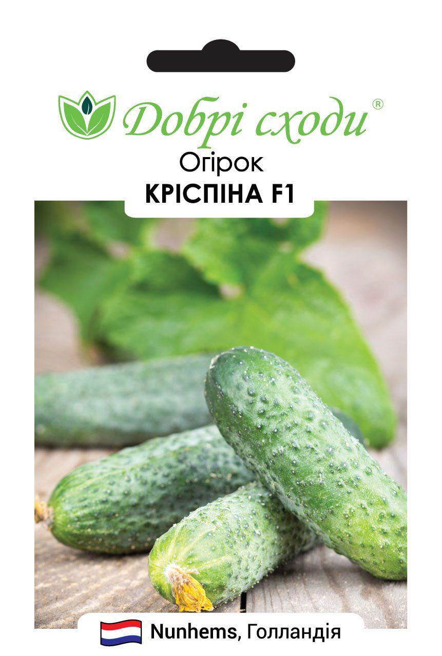Насіння огірків Кріспіна F1 (3345)