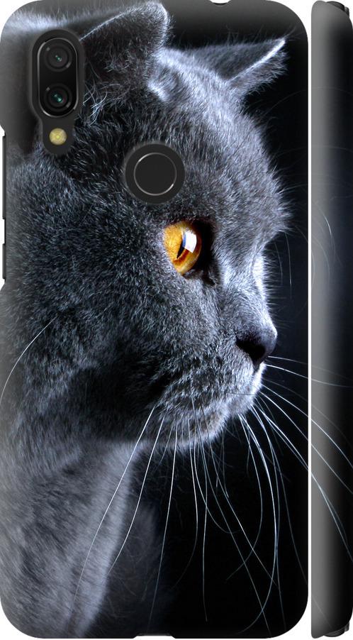 Чехол на Xiaomi Redmi 7 Красивый кот (3038m-1669-42517)