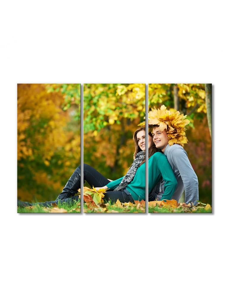 Картина модульная Пара в осеннем парке 3 модуля 70x105 см