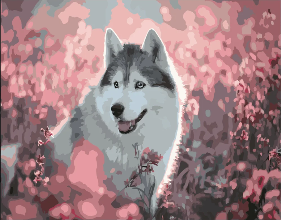 Картина по номерам Strateg Хаски среди поля осенью 40х50 см (GS460)