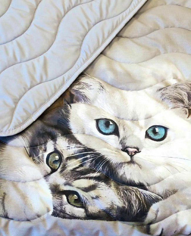 Одеяло летнее двухстороннее с рисунком євро 200x220 см Серый (27503975)