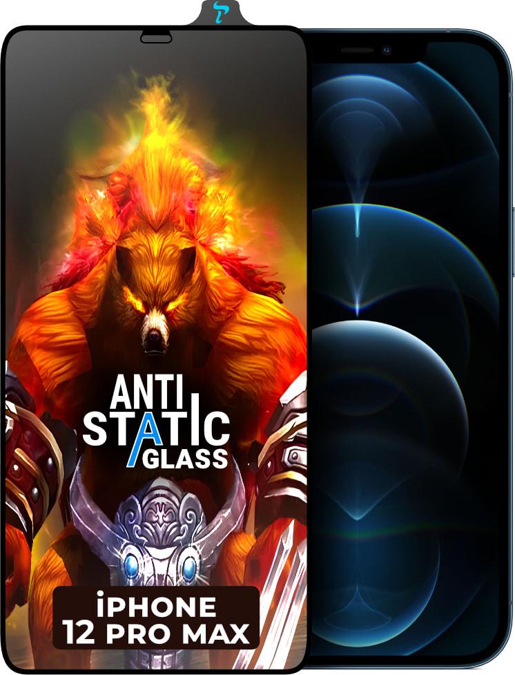 Стекло защитное ESD Antistatic iPhone 12 Pro Max (33321)