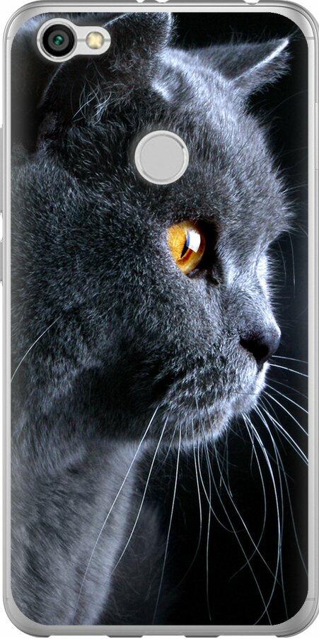 Чехол на Xiaomi Redmi Note 5A Prime Красивый кот (3038u-1063-42517)