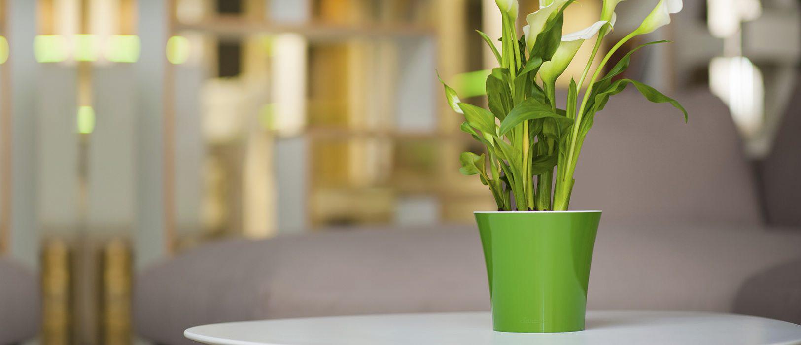 Горшок для цветов ARTE 3,5 л Зеленый/Золотой/Белый - фото 4