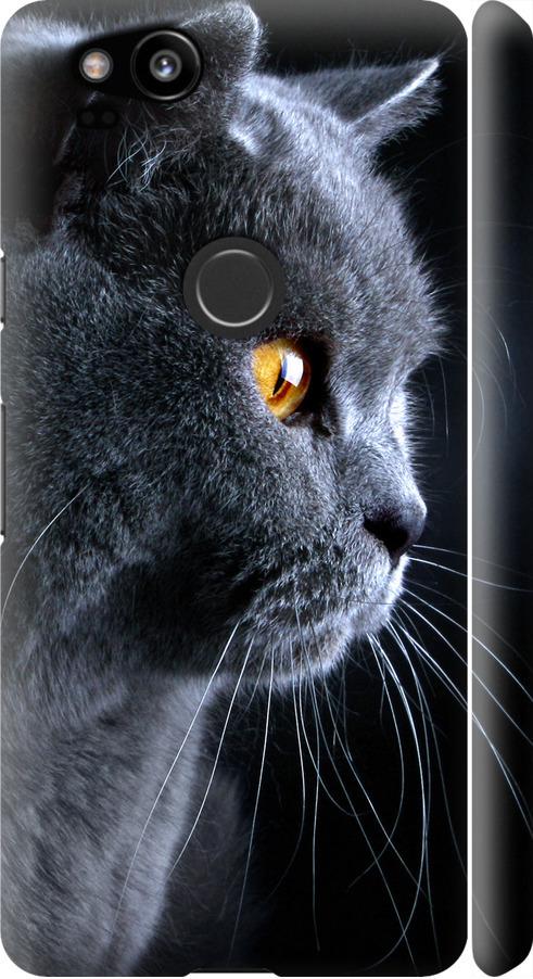 Чехол на Google Pixel 2 Красивый кот (3038m-1075-42517)