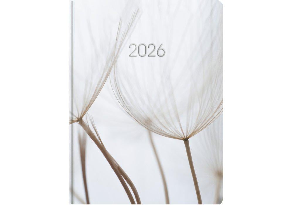 Дневник датированный 2026 Economix Color A5 336 стр. принт (E21871)