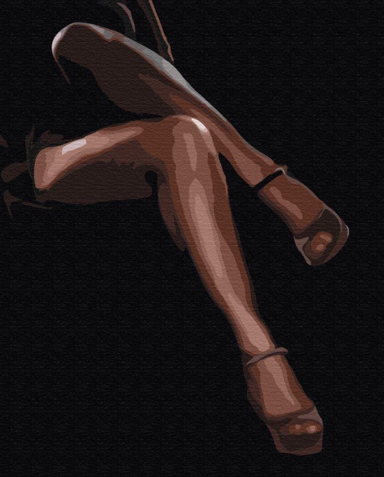 Картина по номерам BrushMe BS52462 Грациозная страсть 40х50 см (L067922)