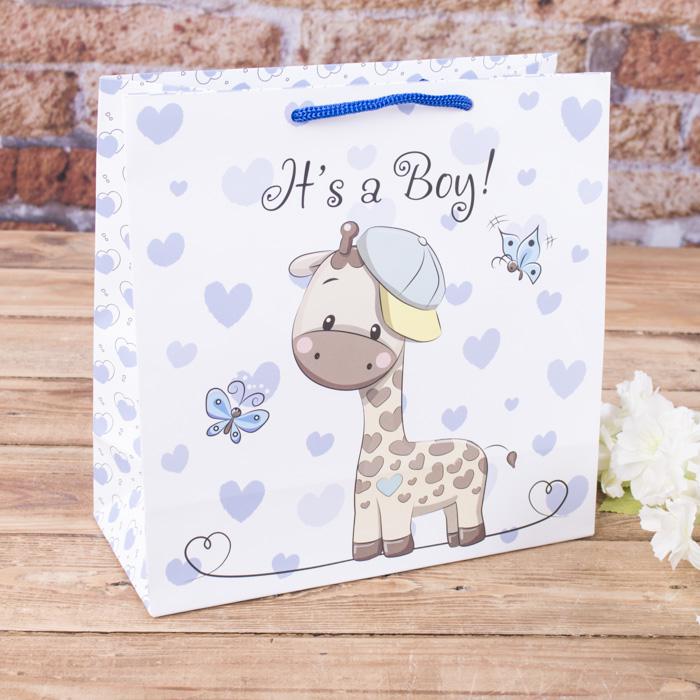 Пакет "Its a boy" 23x23x10 (10830667)