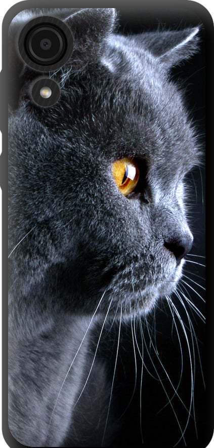 Чехол на Samsung Galaxy A03 Core A032F Красивый кот (3038b-2539-42517)