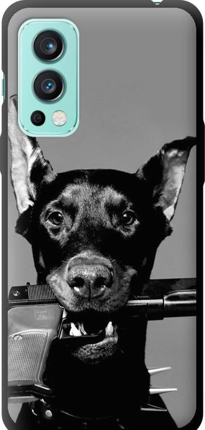 Чохол на OnePlus Nord 2 Доберман (2745b-2468-42517)
