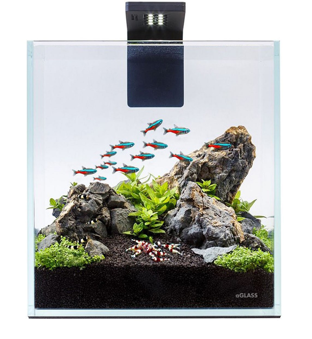 Набор аквариумный aGLASS Nano Set 220 мм 10 л (7142) - фото 3