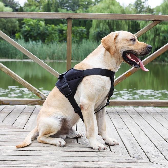 Шлея для собак Harness з ручкою S 50-65 см Чорний (1603476376) - фото 3 Шлея для собак Harness з ручкою S 50-65 см Чорний (1603476376) - фото 3