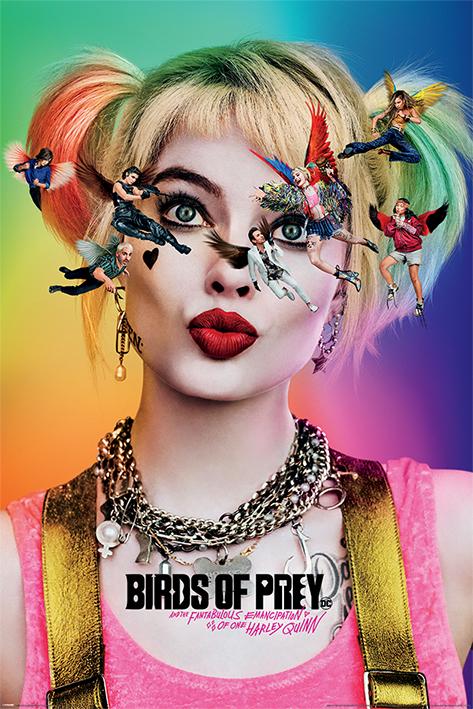 Постер плакат Хищные Птицы Видя Звезды/Birds Of Prey Seeing Stars 61x91,5 см