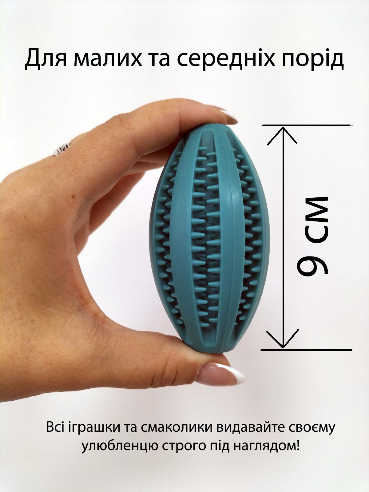 М'яч для собак TPR овальний із зубцямиу формі регбі 9 см Бірюзовий (ІГ-ТПР003Б) - фото 2 М'яч для собак TPR овальний із зубцямиу формі регбі 9 см Бірюзовий (ІГ-ТПР003Б) - фото 2