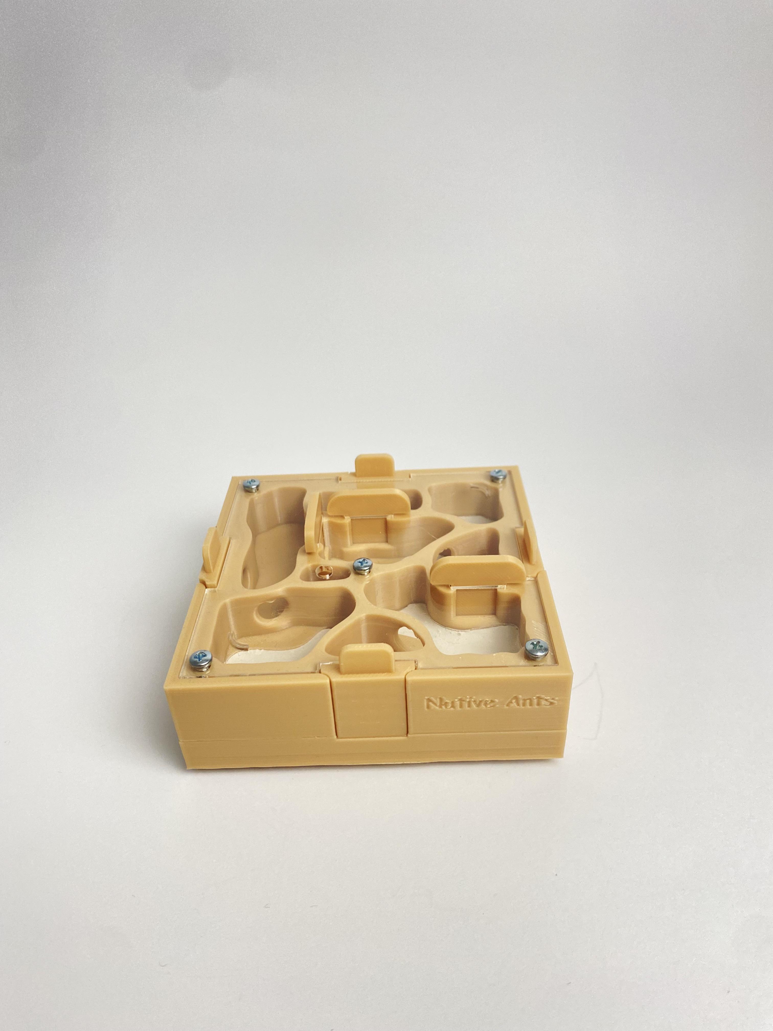 Модуль-гнездо система для муравьиной фермы 10х10 см Бежевый (2681840216)