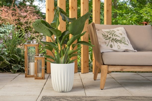 Кашпо Lamela Мира 2,4л Кремовый (000006753) - фото 5 Кашпо Lamela Мира 2,4л Кремовый (000006753) - фото 5