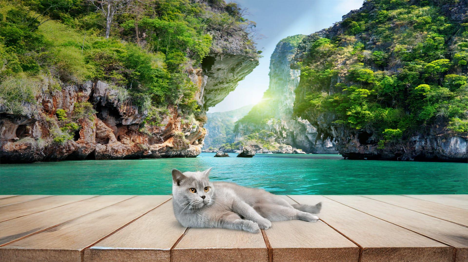 Фотообои флизелиновые Styleo Print-walls Таиланд 0263 300х200 см (Pw-0263)