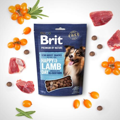 Лакомство для собак Brit Premium Semi-moist Snacks Lamb with Sea Buckthorn с ягненком и облепихой - фото 2 Лакомство для собак Brit Premium Semi-moist Snacks Lamb with Sea Buckthorn с ягненком и облепихой - фото 2