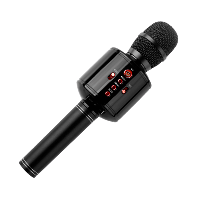 ᐉ Микрофон с колонкой WSTER WS-868 беспроводной Black • Купить в Киеве ...