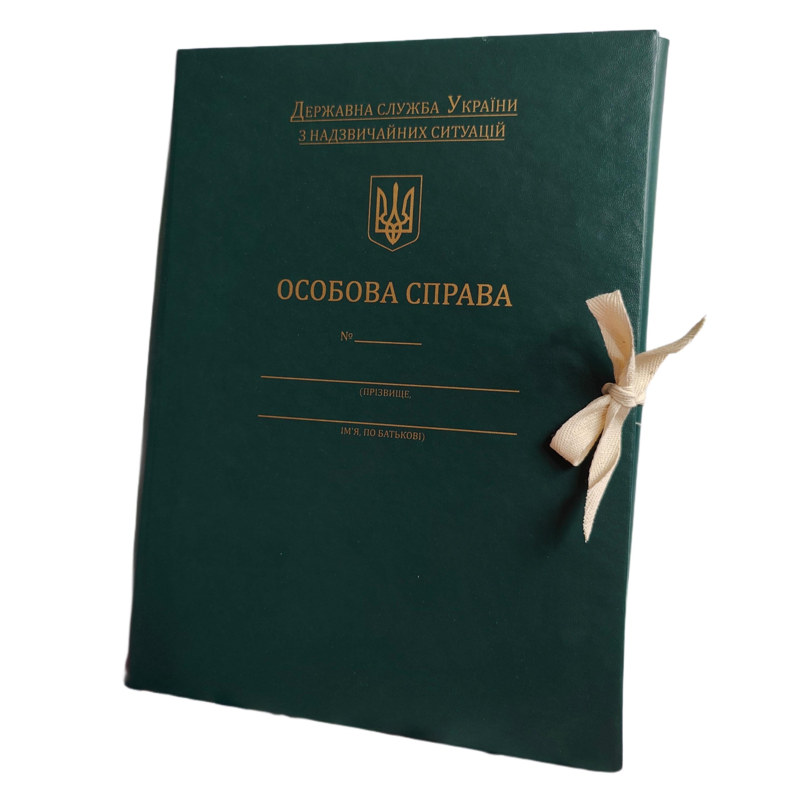 Папка "Особова справа" Державної служби України НС з бумвінілу 20 мм Зелений (PLD-NS/Gr-А4B-20-2) - фото 3