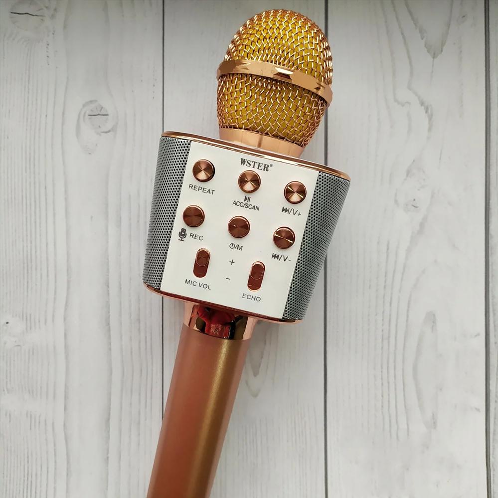 Мікрофон-караоке Wster WS-1688 для дітей з USB Bluetooth з колонкою Rose (120.158.2) - фото 2 Мікрофон-караоке Wster WS-1688 для дітей з USB Bluetooth з колонкою Rose (120.158.2) - фото 2