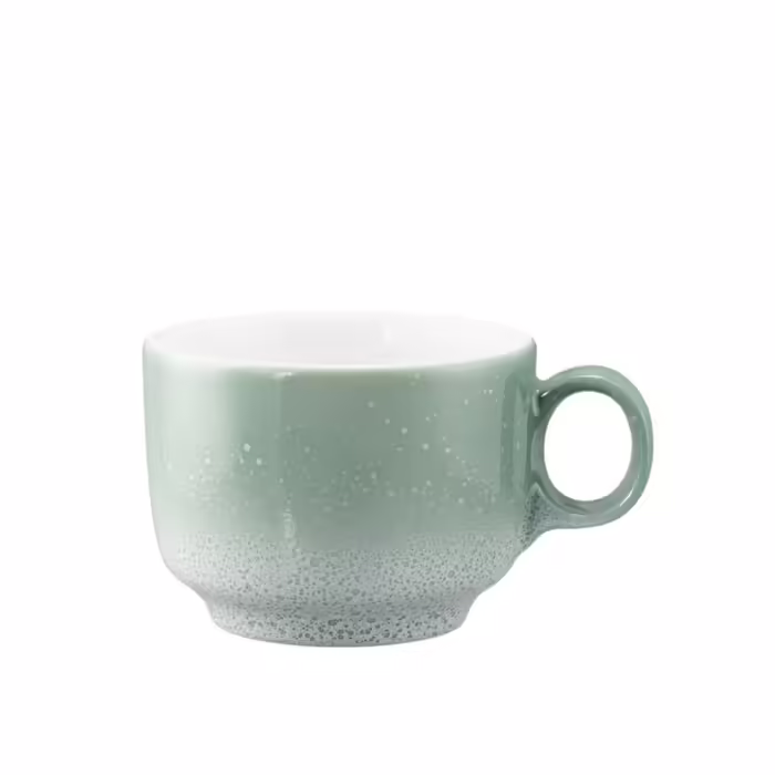 Чашка для кави Seltmann з ручкою Seltmann Weiden Sento Home Aura 210 мл Mint (2670293)