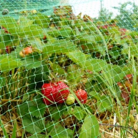 Сетка защитная от птиц Пташка 0,5x100 м ячейка 12х14 мм Зеленый (24757198) - фото 11 Сетка защитная от птиц Пташка 0,5x100 м ячейка 12х14 мм Зеленый (24757198) - фото 11