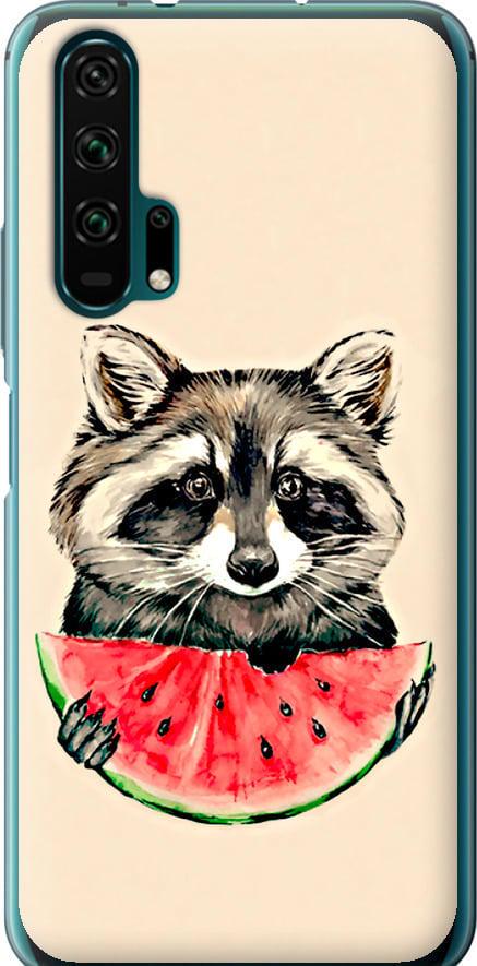 Чехол на Huawei Honor 20 Pro Енотик с арбузом (4605t-1702-42517)