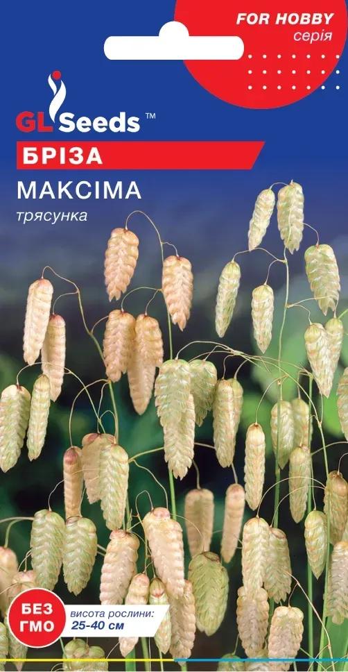 Насіння Бриза Максима 0,25 г трясунка декоративна злакова однорічна Briza maxima сухоцвіт For Hobby GL Seeds - фото 2