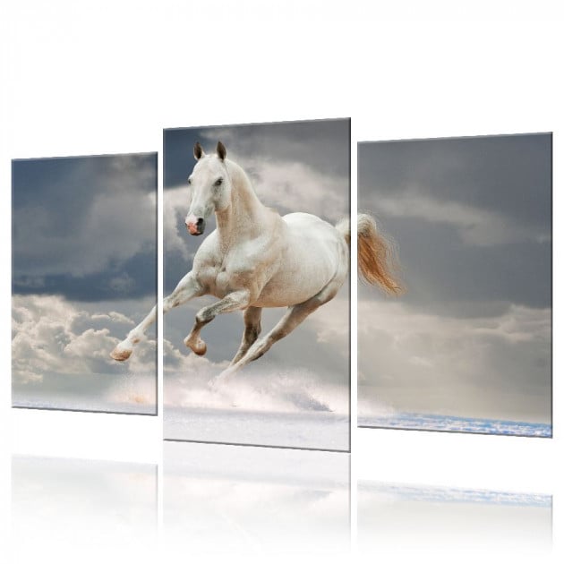 Картина модульная 3 части ArtStar Конь 120х180 см ADJ0008