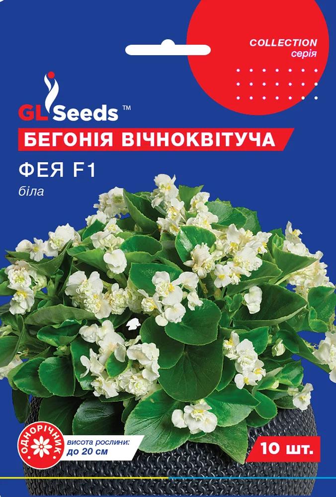 Семена Бегония Фея белая 10 шт. непрерырвно цветущая Collection GL Seeds