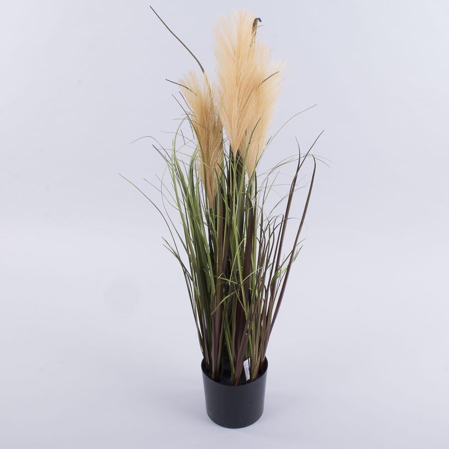 Трава пампас цветной в горшке 75см (кофейный)